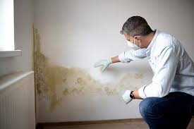 Best Forensic Mold Investigation  in Oroville East, CA